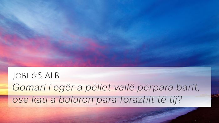 Jobi 6:5 ALB 4K Wallpaper - Gomari i egër a pëllet vallë përpara barit, - 4K Wallpaper Bible Verse