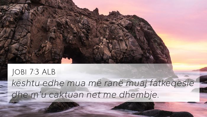 Jobi 7:3 ALB Bible Verse Image