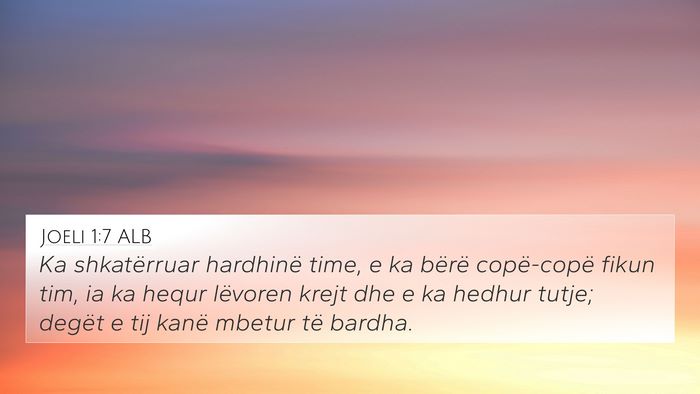 Joeli 1:7 ALB 4K Wallpaper - Ka shkatërruar hardhinë time, e ka bërë - 4K Wallpaper Bible Verse