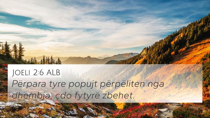 Joeli 2:6 ALB Bible Verse Image