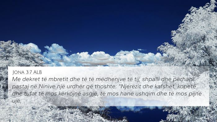 Jona 3:7 ALB 4K Wallpaper - Me dekret të mbretit dhe të të mëdhenjve të - 4K Wallpaper Bible Verse