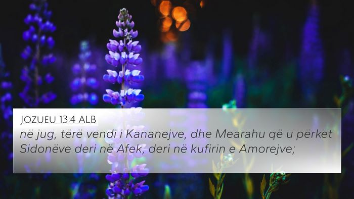 Jozueu 13:4 ALB Bible Verse Image