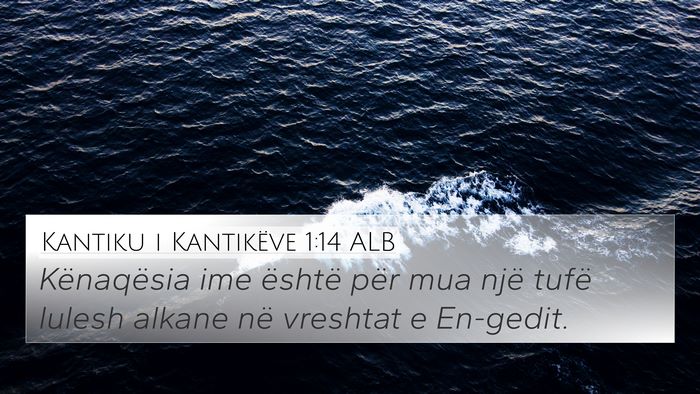 Kantiku i Kantikëve 1:14 ALB Bible Verse Image