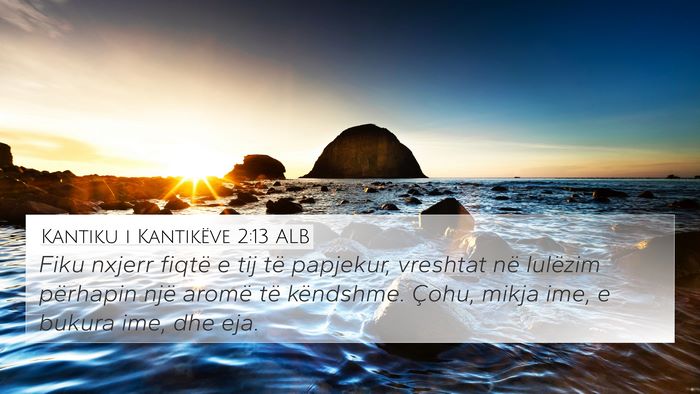 Kantiku i Kantikëve 2:13 ALB Bible Verse Image