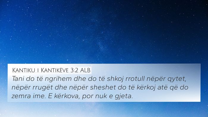 Kantiku i Kantikëve 3:2 ALB Bible Verse Image