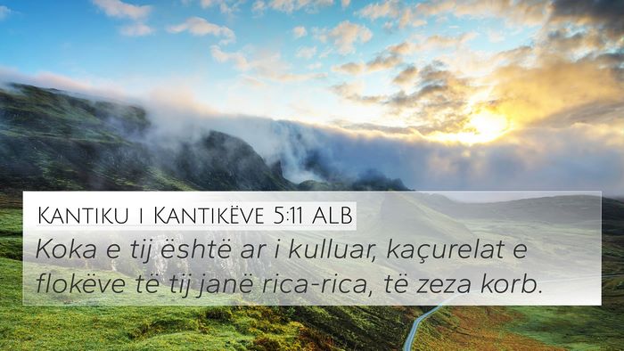 Kantiku i Kantikëve 5:11 ALB Bible Verse Image