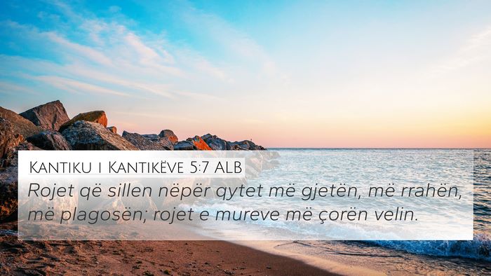Kantiku i Kantikëve 5:7 ALB Bible Verse Image