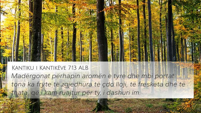 Kantiku i Kantikëve 7:13 ALB Bible Verse Image