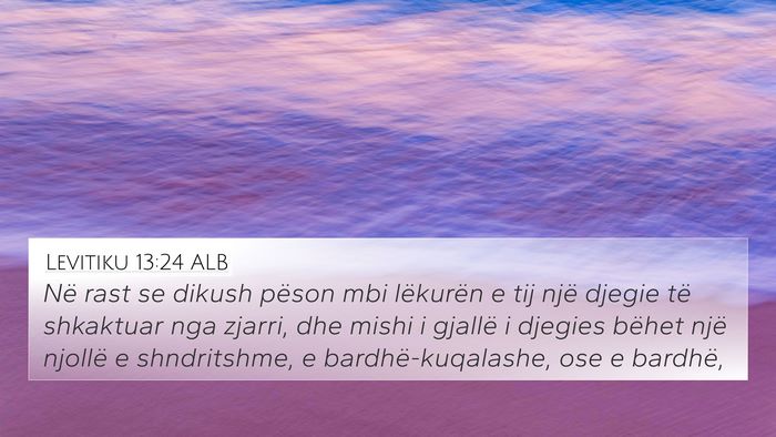 Levitiku 13:24 ALB Bible Verse Image