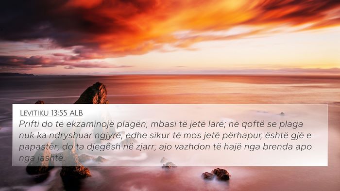 Levitiku 13:55 ALB 4K Wallpaper - Prifti do të ekzaminojë plagën, mbasi të - 4K Wallpaper Bible Verse