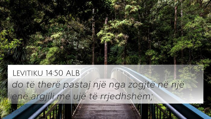 Levitiku 14:50 ALB Bible Verse Image