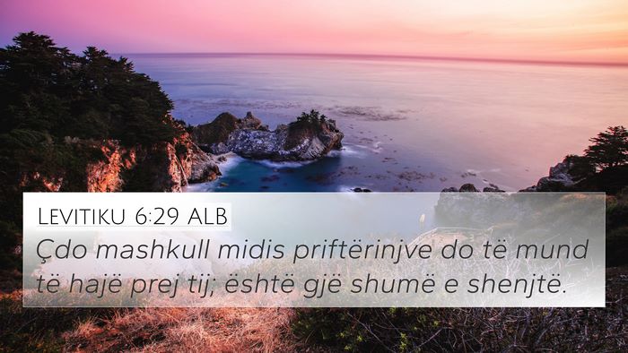 Levitiku 6:29 ALB Bible Verse Image