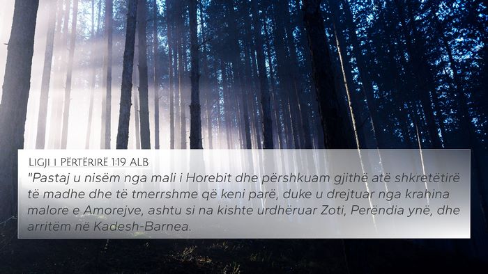 Ligji i Përtërirë 1:19 ALB Bible Verse Image