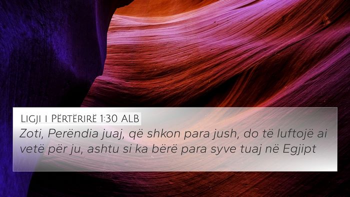 Ligji i Përtërirë 1:30 ALB Bible Verse Image