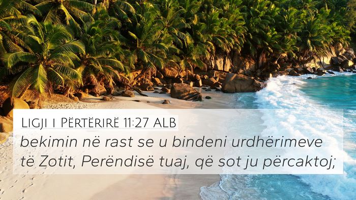 Ligji i Përtërirë 11:27 ALB 4K Wallpaper - bekimin në rast se u bindeni urdhërimeve të - 4K Wallpaper Bible Verse