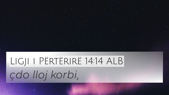 Ligji i Përtërirë 14:14 ALB 4K Wallpaper - çdo lloj - 4K Wallpaper Bible Verse