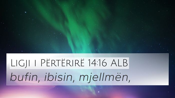Ligji i Përtërirë 14:16 ALB 4K Wallpaper - bufin, ibisin, - 4K Wallpaper Bible Verse