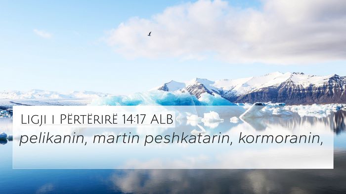 Ligji i Përtërirë 14:17 ALB 4K Wallpaper - pelikanin, martin peshkatarin, - 4K Wallpaper Bible Verse