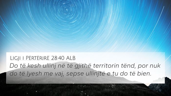 Ligji i Përtërirë 28:40 ALB 4K Wallpaper - Do të kesh ullinj në të gjithë territorin - 4K Wallpaper Bible Verse