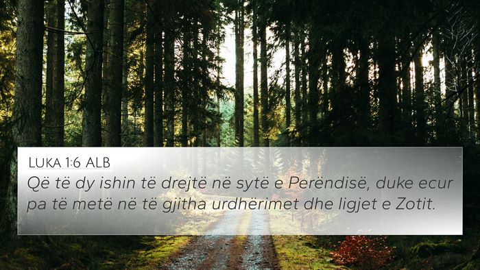 Luka 1:6 ALB Bible Verse Image