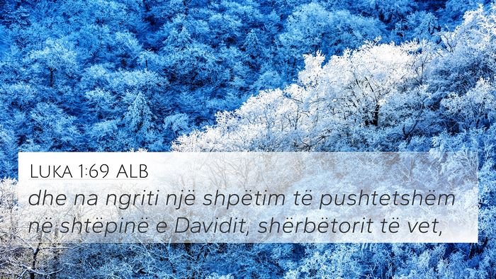 Luka 1:69 ALB 4K Wallpaper - dhe na ngriti një shpëtim të pushtetshëm në - 4K Wallpaper Bible Verse
