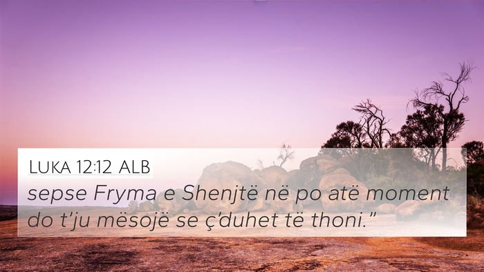 Luka 12:12 ALB Bible Verse Image