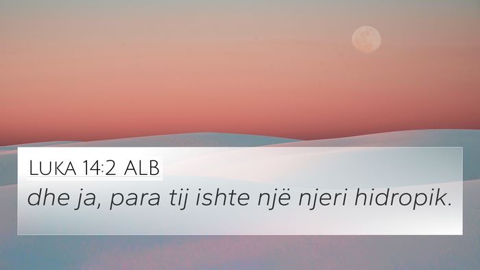 Luka 14:2 ALB 4K Wallpaper - dhe ja, para tij ishte një njeri - 4K Wallpaper Bible Verse