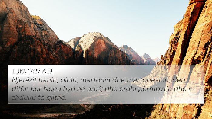 Luka 17:27 ALB Bible Verse Image