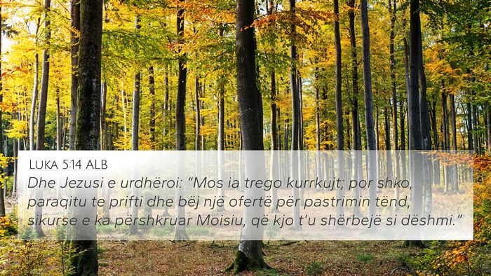 Luka 5:14 ALB Bible Verse Image