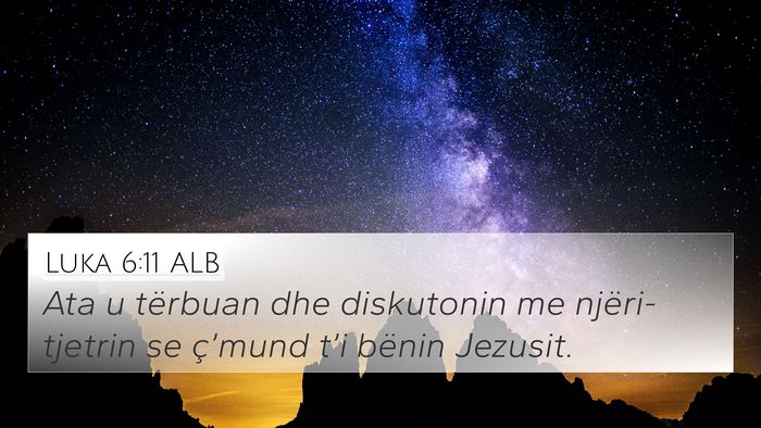 Luka 6:11 ALB Bible Verse Image