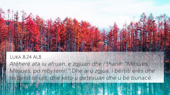 Luka 8:24 ALB Bible Verse Image