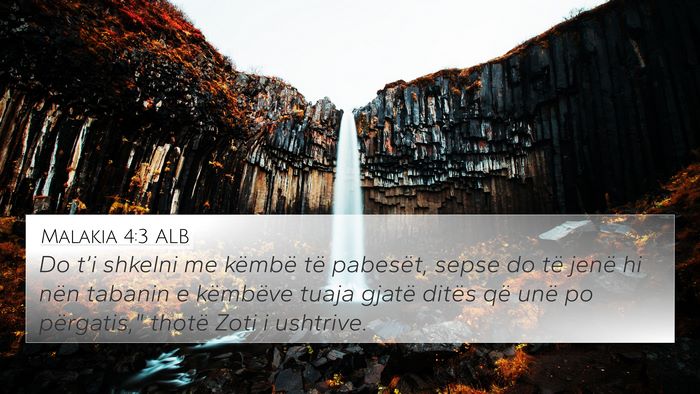 Malakia 4:3 ALB Bible Verse Image