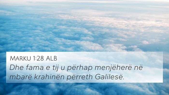 Marku 1:28 ALB Bible Verse Image