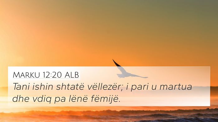Marku 12:20 ALB 4K Wallpaper - Tani ishin shtatë vëllezër; i pari u martua - 4K Wallpaper Bible Verse