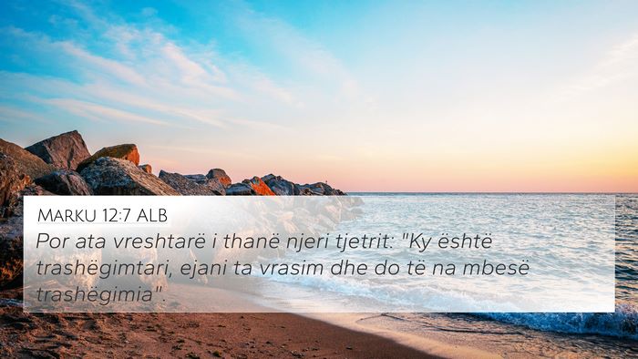 Marku 12:7 ALB Bible Verse Image