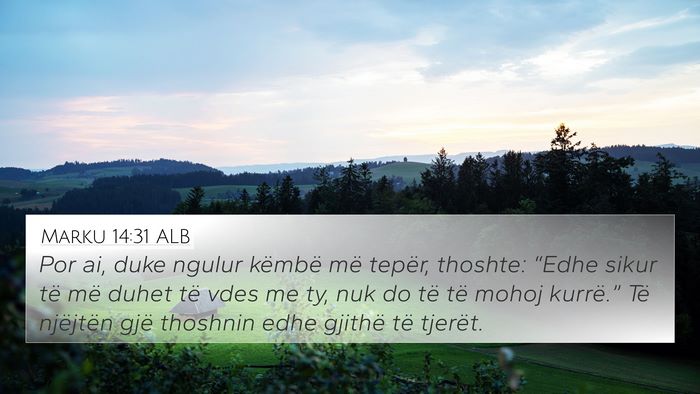 Marku 14:31 ALB Bible Verse Image