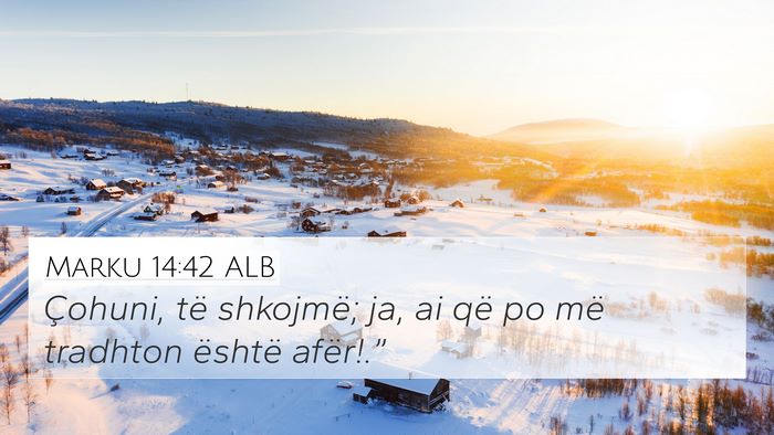 Marku 14:42 ALB 4K Wallpaper - Çohuni, të shkojmë; ja, ai që po më tradhton - 4K Wallpaper Bible Verse