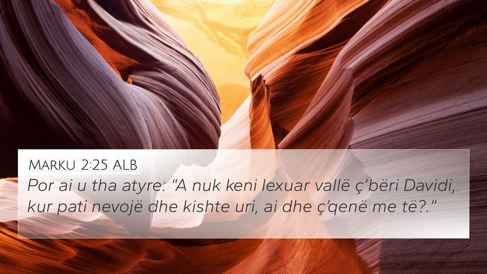 Marku 2:25 ALB Bible Verse Image