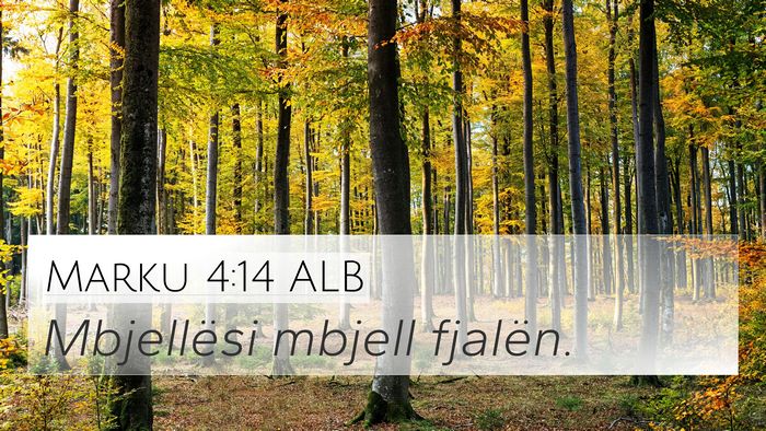 Marku 4:14 ALB Bible Verse Image