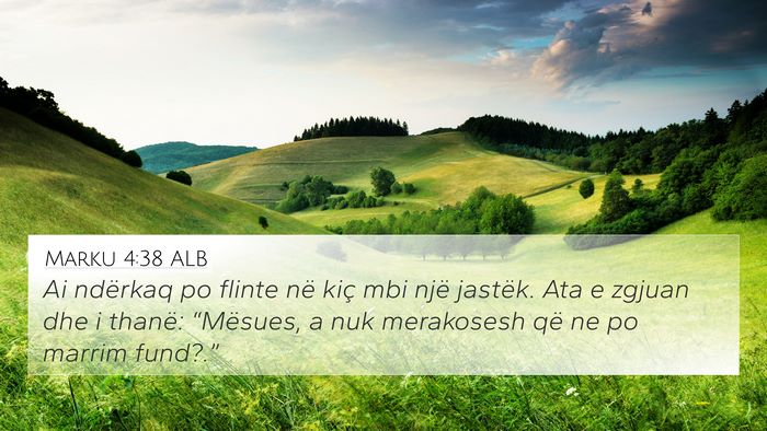 Marku 4:38 ALB Bible Verse Image