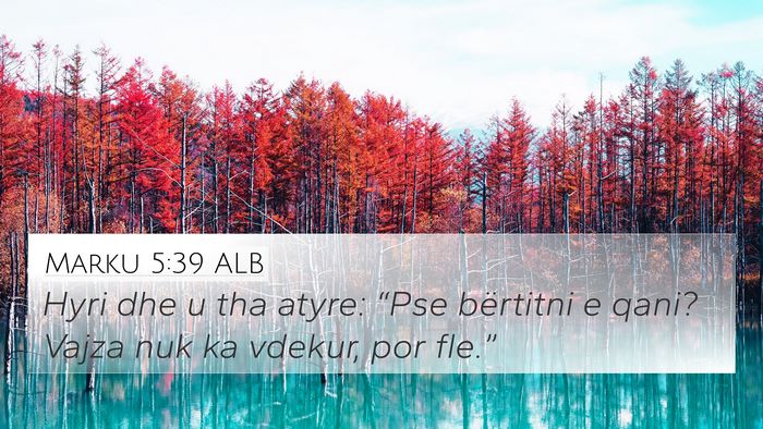 Marku 5:39 ALB Bible Verse Image