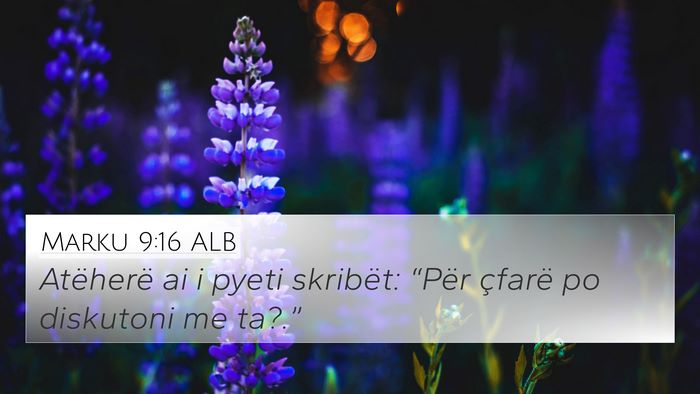 Marku 9:16 ALB 4K Wallpaper - Atëherë ai i pyeti skribët: “Për çfarë po - 4K Wallpaper Bible Verse