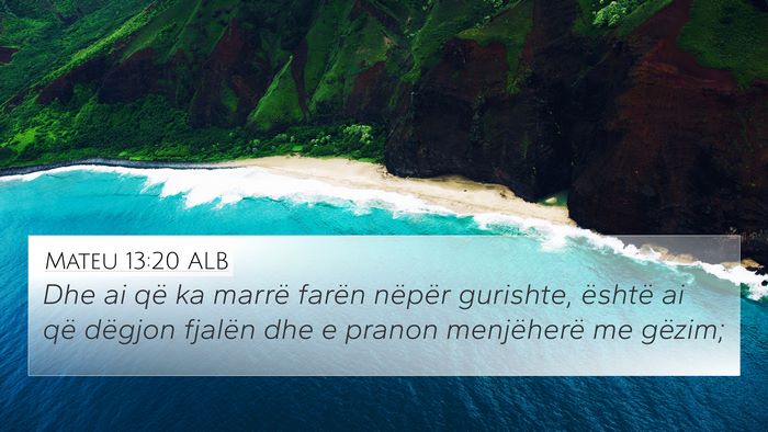 Mateu 13:20 ALB Bible Verse Image
