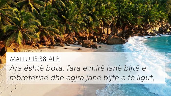 Mateu 13:38 ALB Bible Verse Image