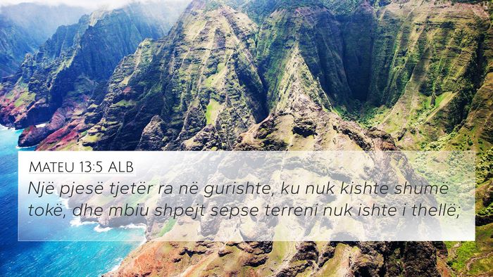 Mateu 13:5 ALB Bible Verse Image