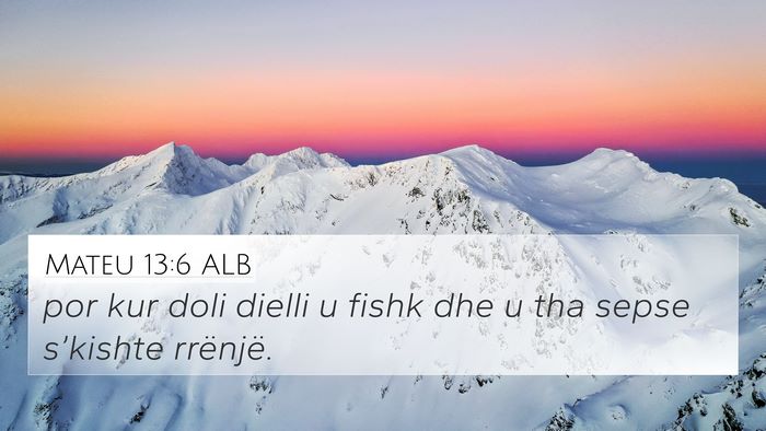 Mateu 13:6 ALB Bible Verse Image