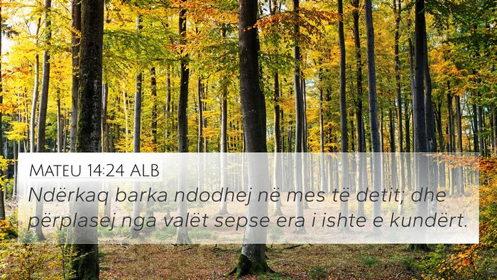 Mateu 14:24 ALB Bible Verse Image