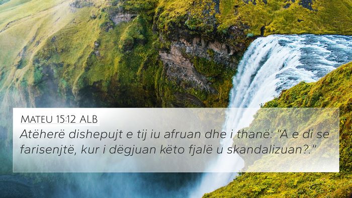 Mateu 15:12 ALB Bible Verse Image