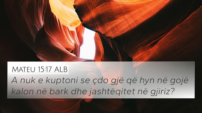 Mateu 15:17 ALB Bible Verse Image