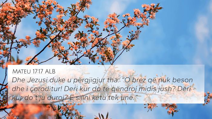 Mateu 17:17 ALB Bible Verse Image